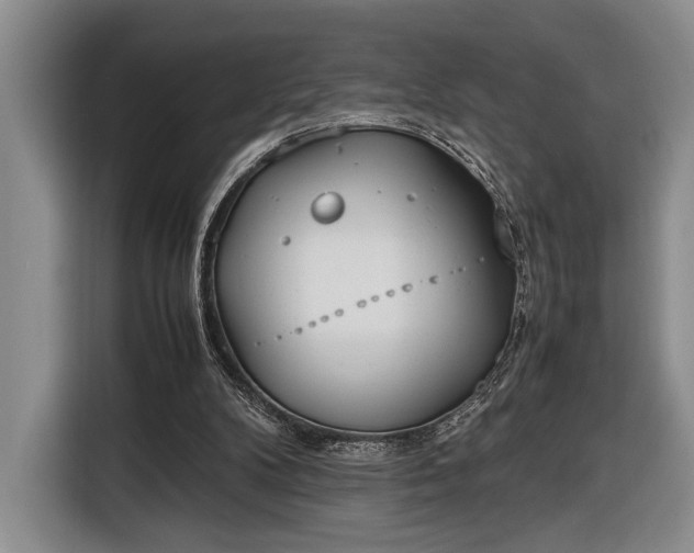 X0000116330104200912091047