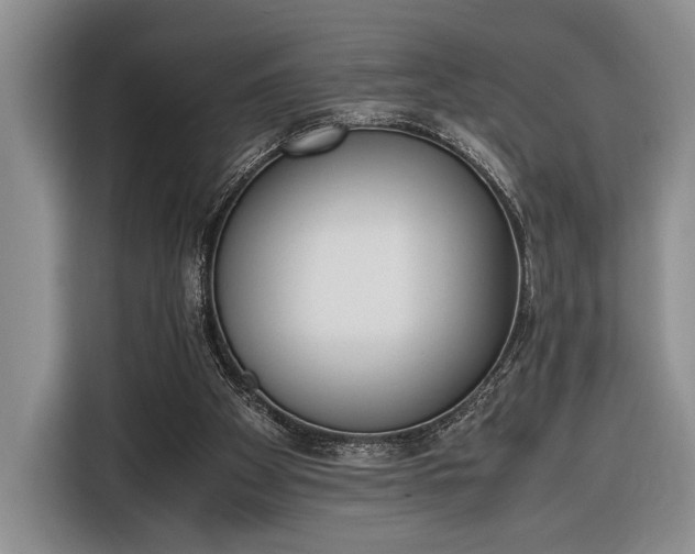 X0000116330105200912091047