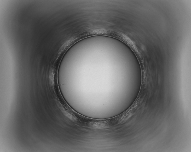 X0000116330106200912091047
