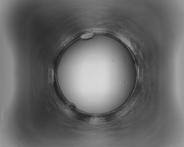 X0000116330109200912091047