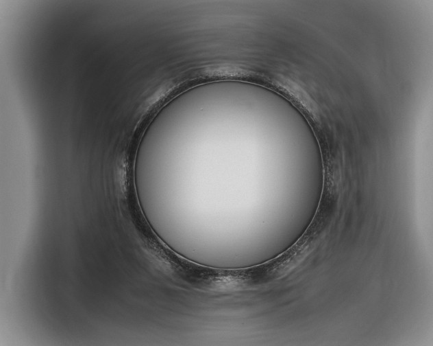 X0000116330111200912091047