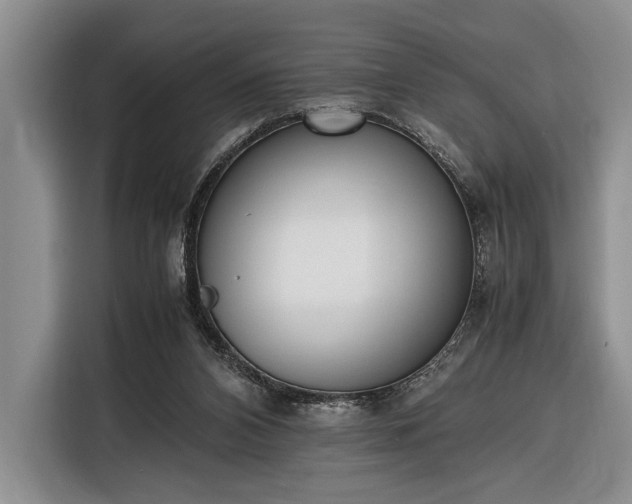 X0000116330112200912091047