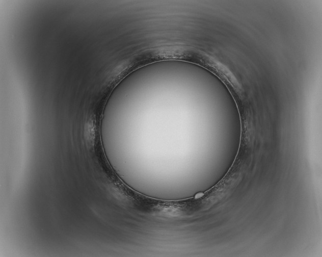 X0000116330113200912091047