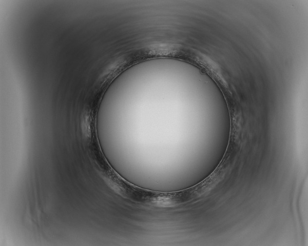 X0000116330114200912091047