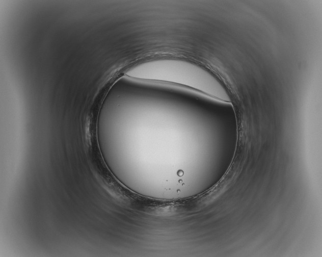X0000116330116200912091047