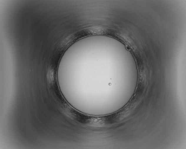 X0000116330117200912091047