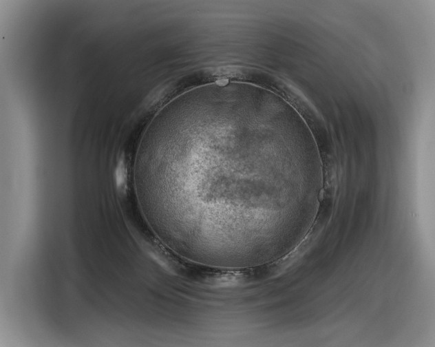 X0000116330124200912091047