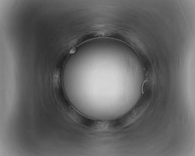 X0000116330127200912091047