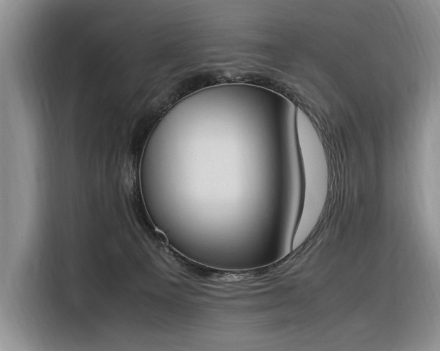 X0000116330129200912091047