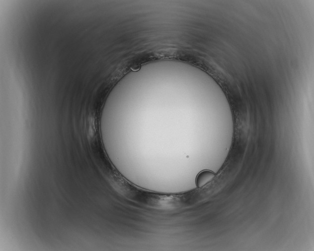 X0000116330130200912091047