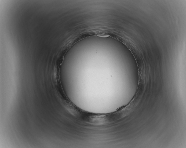 X0000116330132200912091047