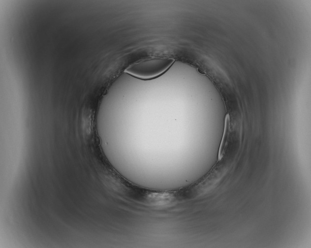 X0000116330133200912091047