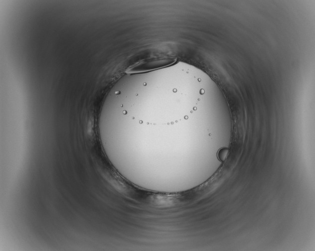 X0000116330134200912091047