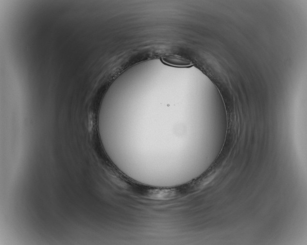 X0000116330135200912091047