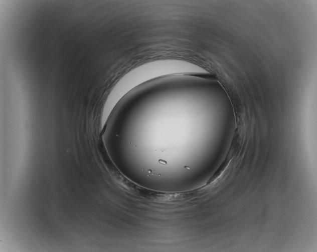 X0000116330136200912091047