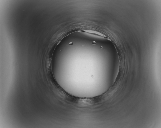 X0000116330137200912091047