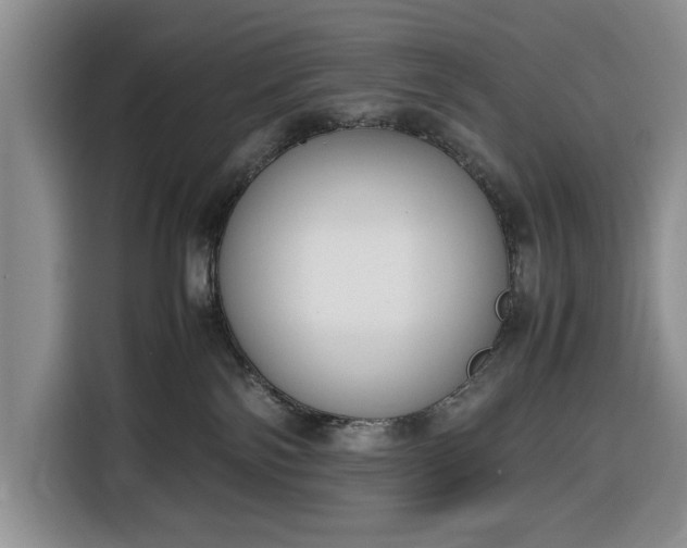 X0000116330138200912091047