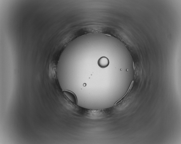 X0000116330141200912091047