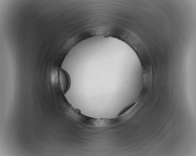 X0000116330142200912091047