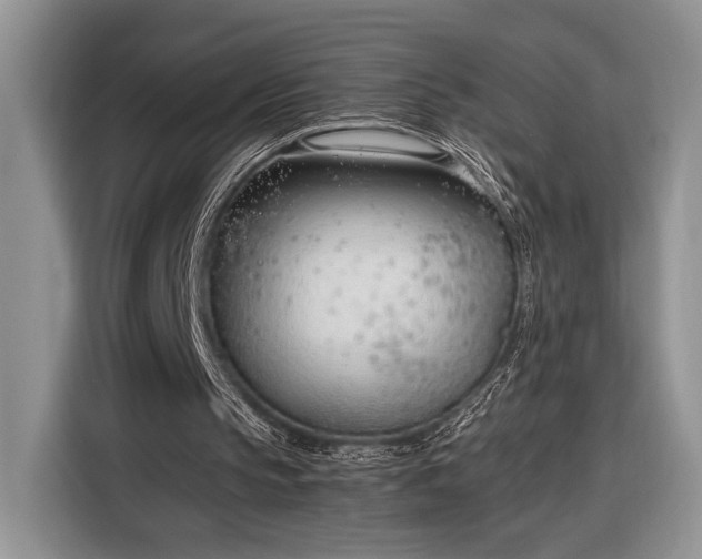 X0000116330145200912091046