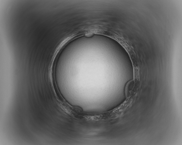 X0000116330147200912091046