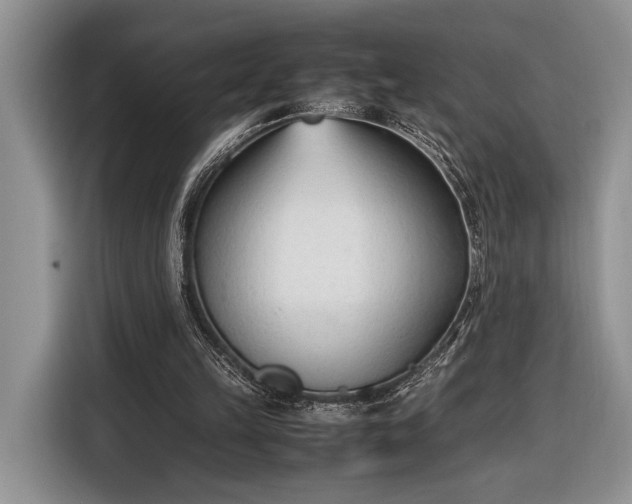 X0000116330149200912091046