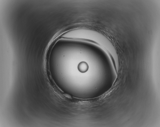 X0000116330150200912091046