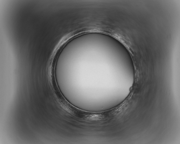 X0000116330151200912091046