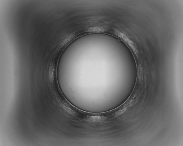 X0000116330153200912091046