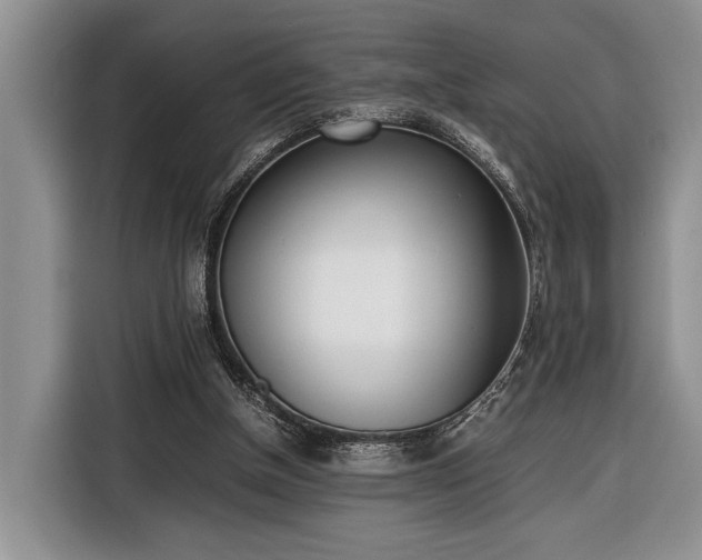 X0000116330154200912091046