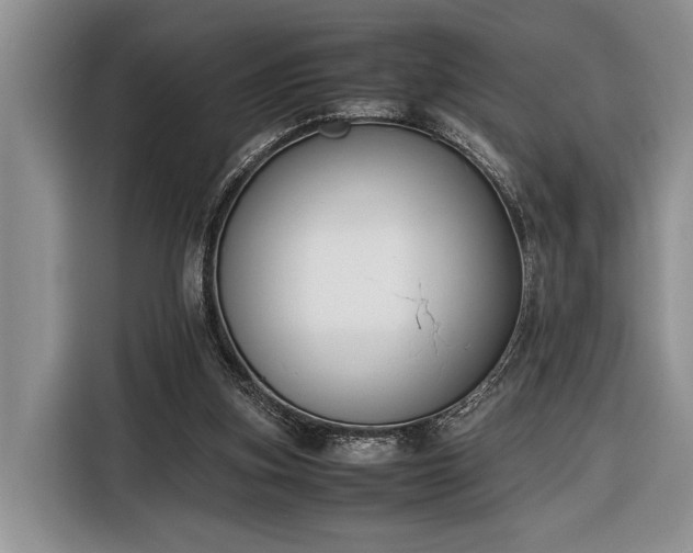 X0000116330155200912091046