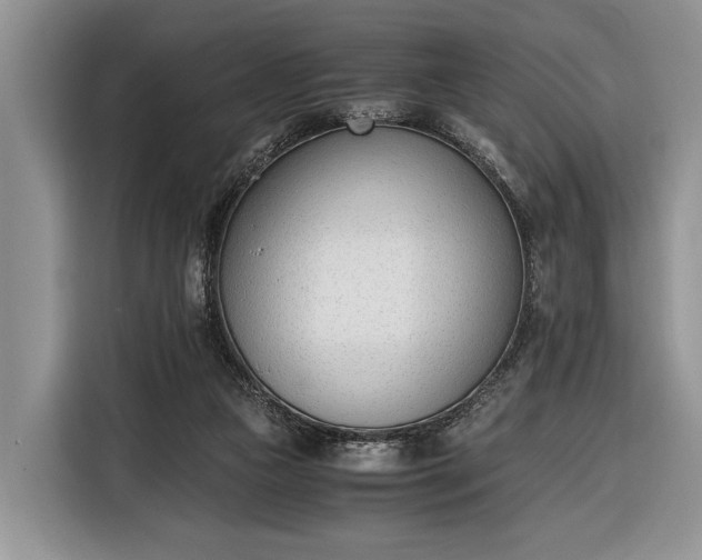 X0000116330161200912091046