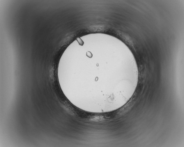 X0000116330162200912091046