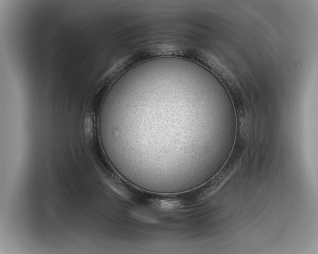 X0000116330165200912091046