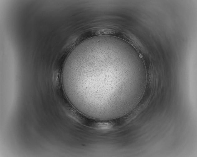 X0000116330169200912091046
