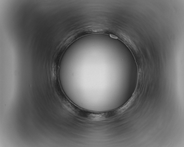 X0000116330170200912091046