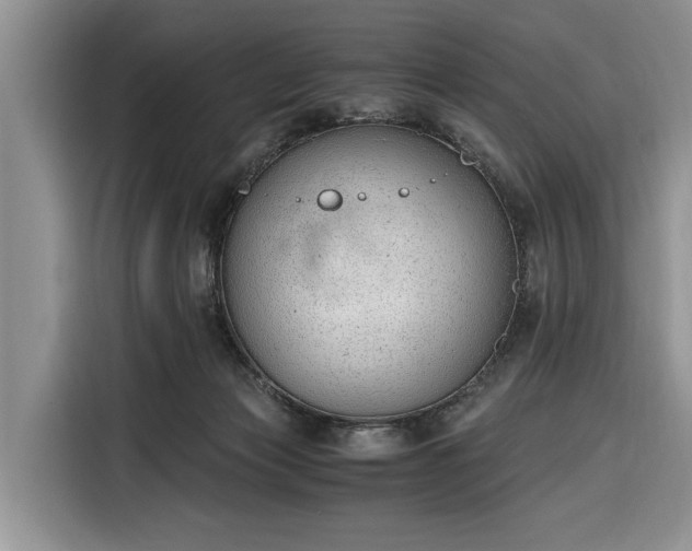 X0000116330173200912091046