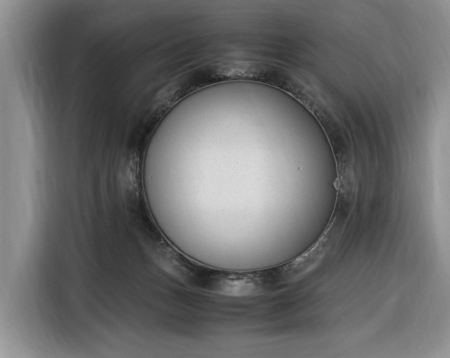 X0000116330175200912091046