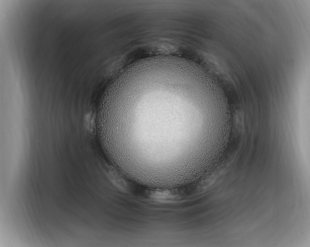 X0000116330177200912091046