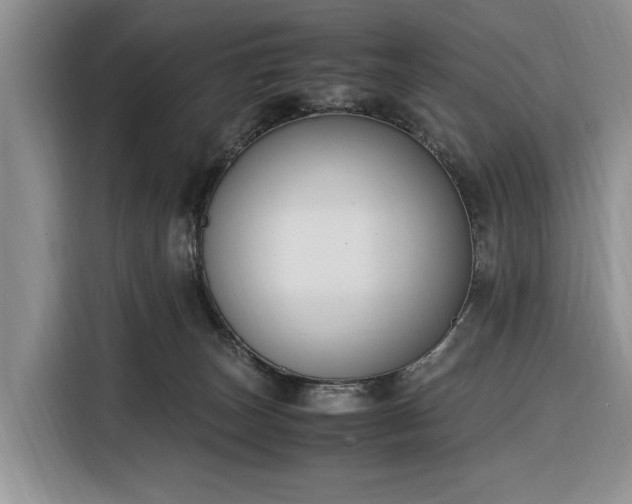 X0000116330179200912091046