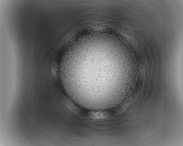 X0000116330181200912091046