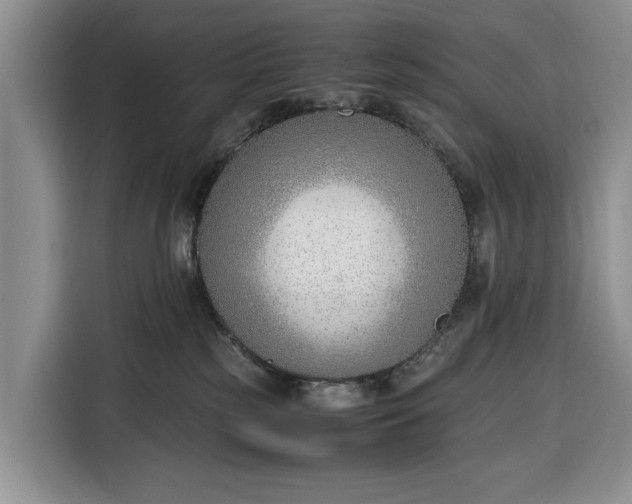 X0000116330185200912091046