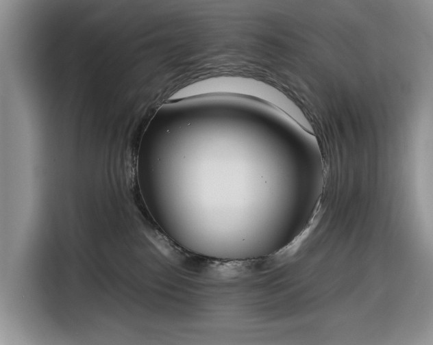 X0000116330186200912091046