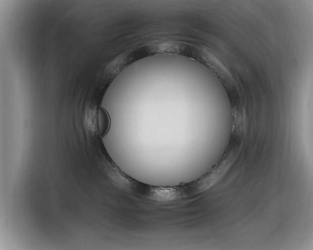 X0000116330189200912091046