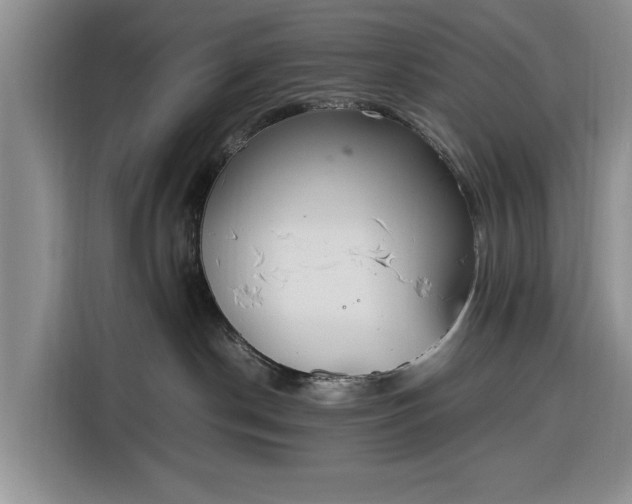 X0000116330190200912091046