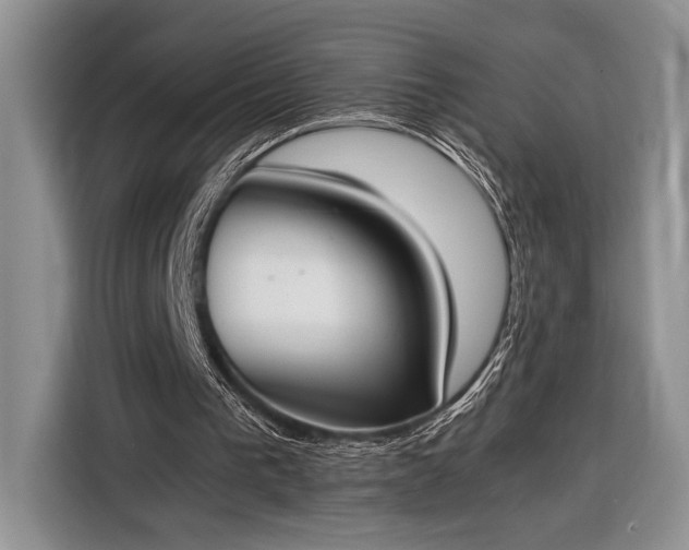 X0000116330193200912091046