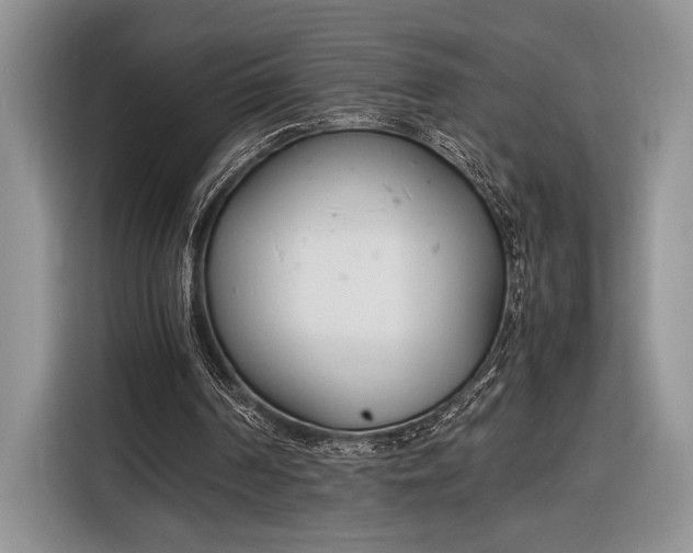 X0000116330194200912091046