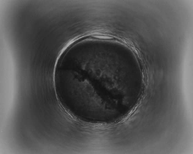 X0000116330196200912091046