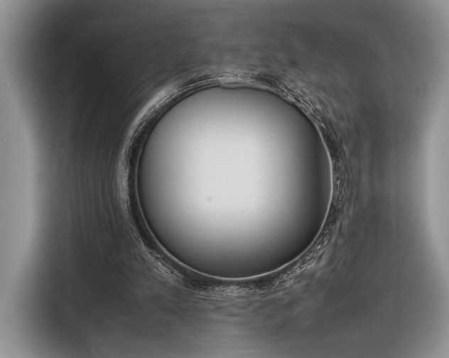 X0000116330197200912091046