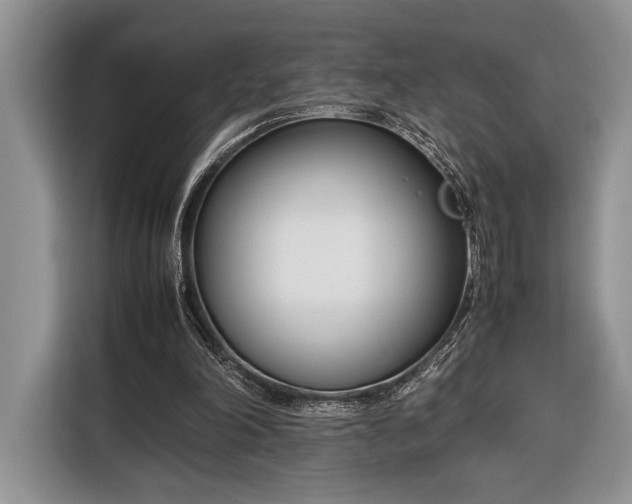 X0000116330198200912091046